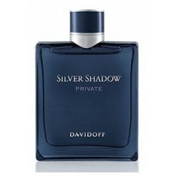 دافيدوف سيلفر شادو برايفيت للرجال -أو دي تويليت, 100 مل
