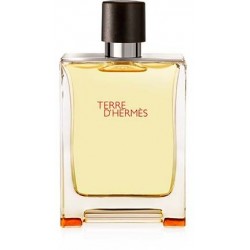  Hermes Terre D'Hermes for Men -Eau De Toilette, 100 ML
