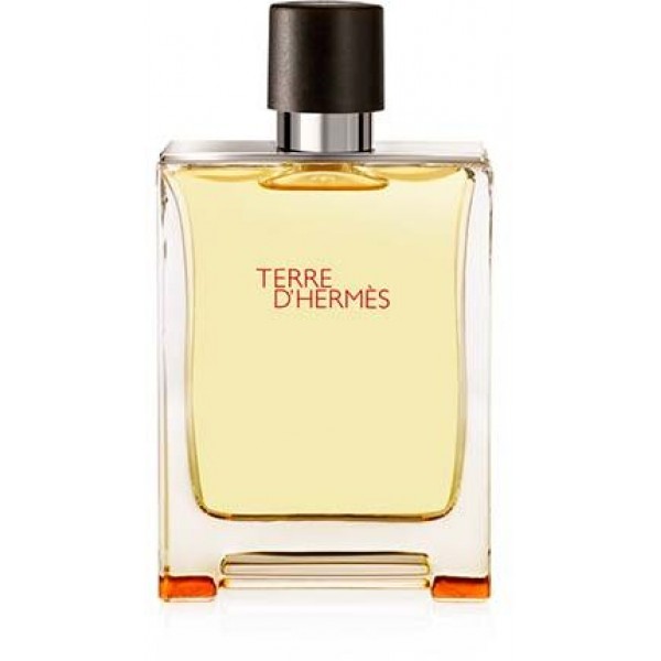  Hermes Terre D'Hermes for Men -Eau De Toilette, 100 ML