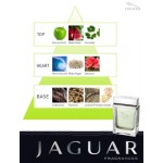 عطر جاغوار فيجن 2 JAGUAR VISION - تواليت 100مل - للرجال